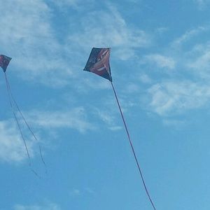 Meet your Posher, Curtis